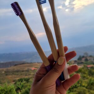 Cepillo de dientes de bambú x 3